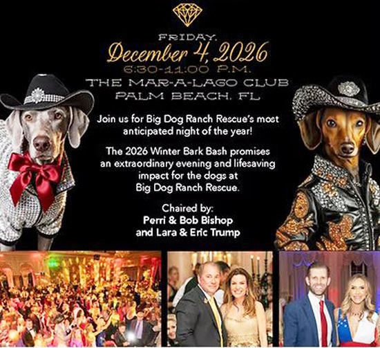 Rescues, Rhinestones and Rodeo Gala