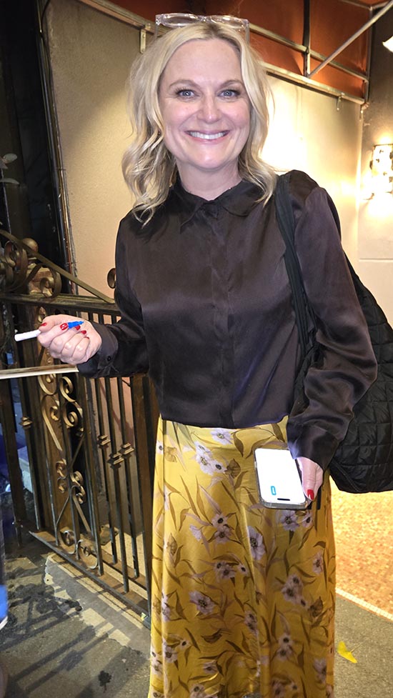 Amy Poehler