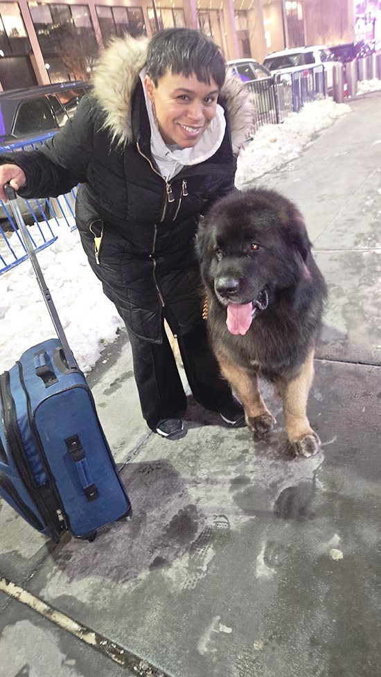 Leonberger Neville and Vicki prize winner
