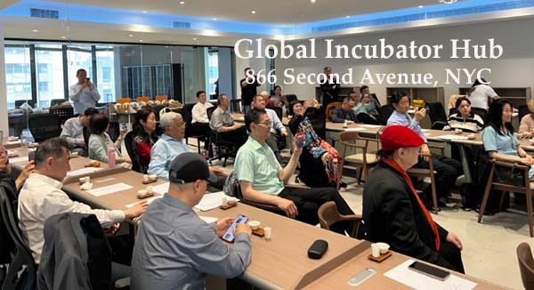 Global Incubator Hub