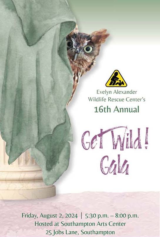 get wild gala