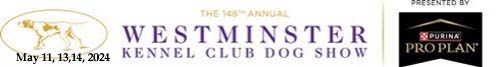 westminster kennel club dog show