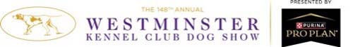 westminster kennel club dog show