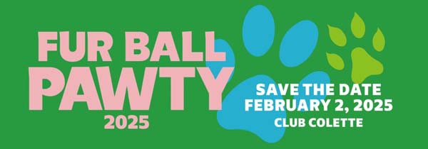 Darbster Rescue's Fur Ball Pawty