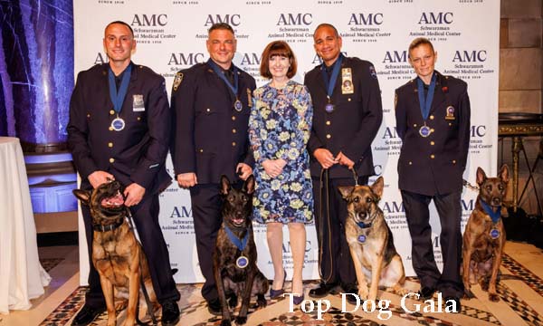 K9 Hansen, K9 Mos, K9 Louie, and K9 Tombo