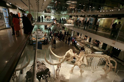 The "Mingle With The Mammals" VIP reception to open the Age of Mammals exhibition inside the Natural History Museum's newly restored 1913 Building on July 7, 2010 in Los Angeles, California. (Photo by Ryan Miller/Capture Imaging)