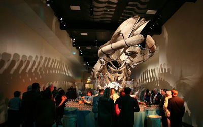 The Fin Whale Passage at the "Mingle With The Mammals" VIP reception to open the Age of Mammals Exhibition inside the Natural History Museum's newly restored 1913 Building on July 7, 2010 in Los Angeles, California. (Photo by Ryan Miller/Capture Imaging)