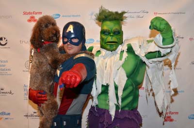 Hero dog Holly, Captain America, The Incredible Hulk