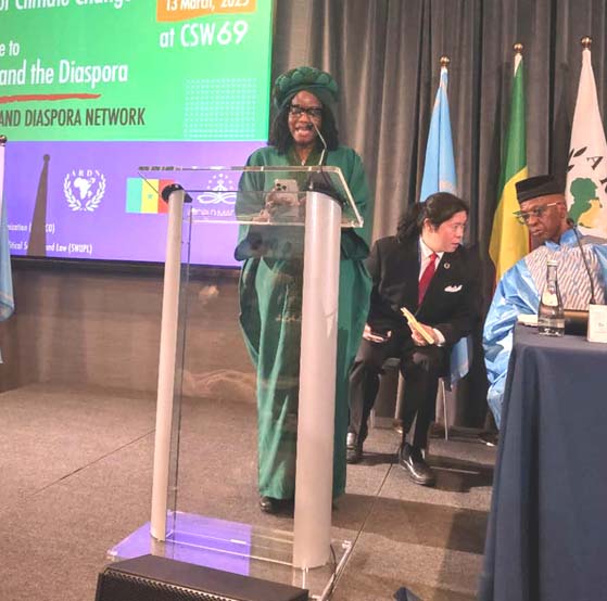 africa renaissance and Diapora Network - Dr. Oulimata Keita,