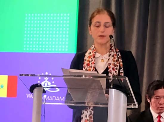 africa renaissance and Diapora Network - Lily Gray