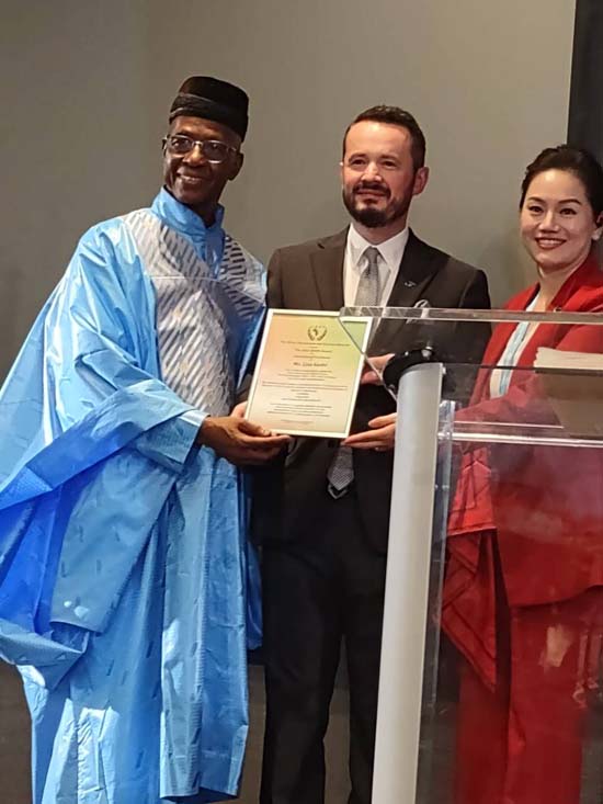 africa renaissance and Diapora Network