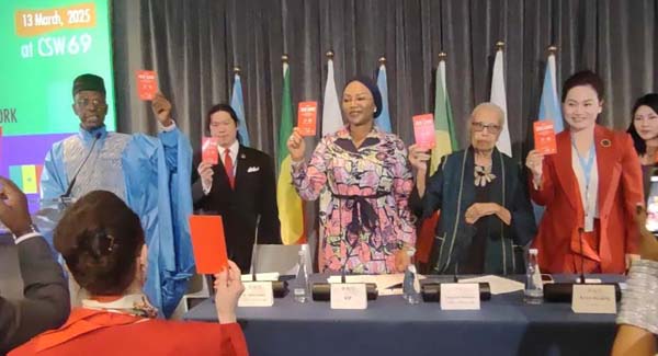 africa renaissance and Diapora Network