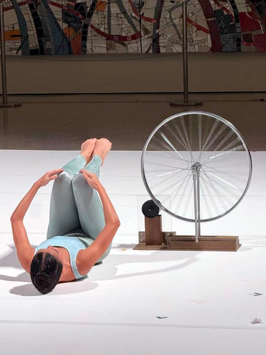 meera gandhi works and process