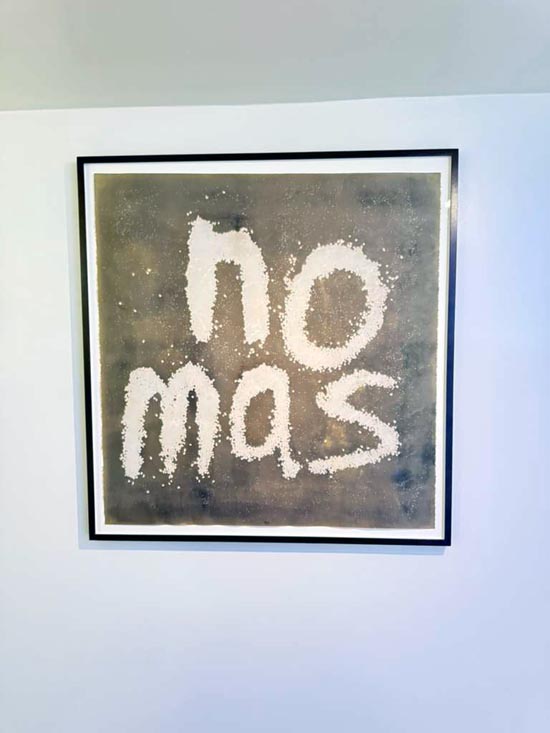 meera gandhi works and process