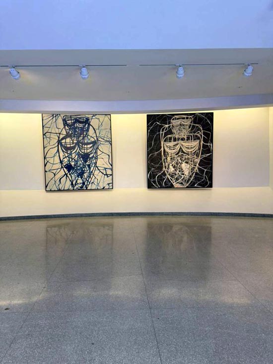 meera gandhi works and process
