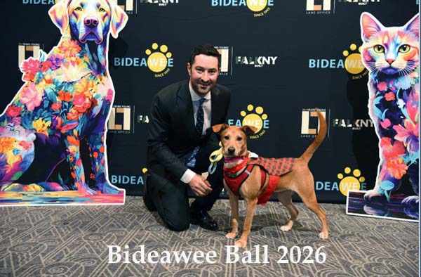 bideawee_ball_2026_elias_weiss_friedman_main_photo