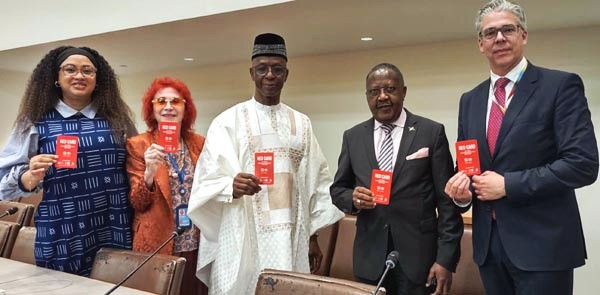 Michela Swallow, Dr. Judy Kuriansky, Dr. Djibril Diallo, Penda A. Naanda, Ricklef Beutin,