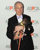 Mayor Michael Bloomberg "puppy love" Photo by: Nick Hunt/Patrick McMullan