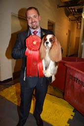 Cavalier King Charles Spaniel Best of Breed Winner and also a Red Ribbon.  Photo by:  Rose Billings/Blacktiemagazine.com