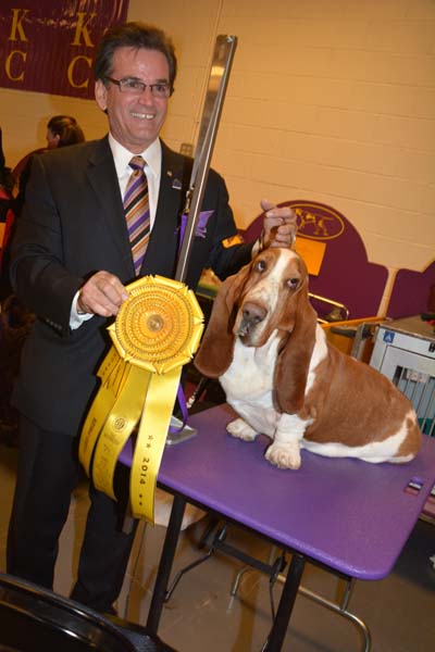 Mike Stone Handler of Bassett Hound named Tiger .  Photo by:  Rose Billings/Blacktiemagazine.com