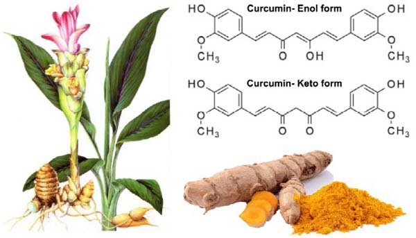 Curcumin